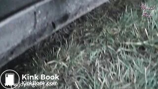 Dropping a fat poop out of a car window