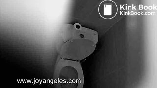 Giant unflushable poop captured on spycam