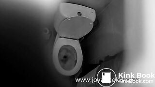 Giant unflushable poop captured on spycam