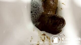 Panther's huge diameter turd blocks her toilet