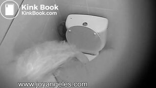 Blonde's toilet blocker