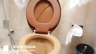 Girl shits brown poo into a brown toilet