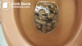 Girl shits brown poo into a brown toilet