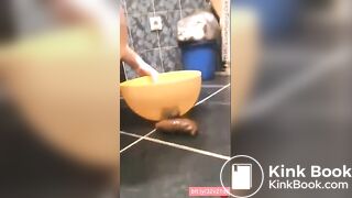 Missed bowl