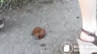 pooping in a country lane