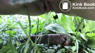 Urgent outdoor poop