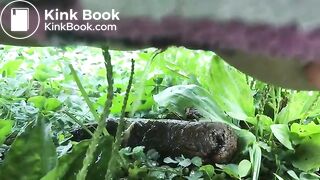 Urgent outdoor poop