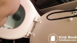 Overhead view of a nice big shit