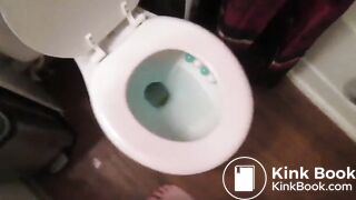 Overhead view of a nice big shit