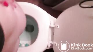Overhead view of a nice big shit