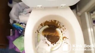 bowlcam 14