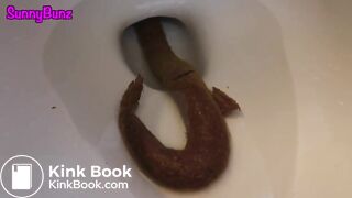 A very long shit