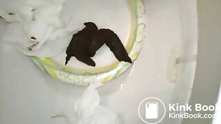bowlcam 7