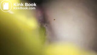 bowlcam 24