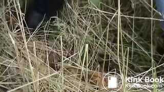 Big dump in roadside woodland