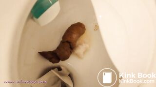 Laying a big log in the toilet
