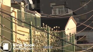 Japanese scat 4