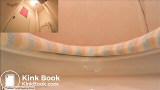 Japanese Guest Toilet