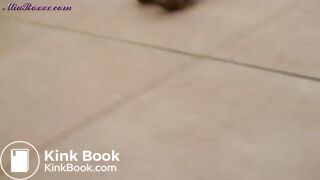 Kitchen maid poops while cleaning the oven