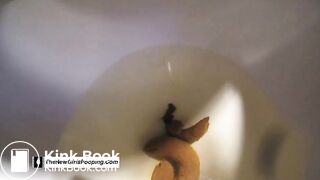 POV From Inside The Toilet