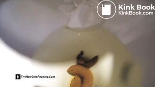 POV From Inside The Toilet