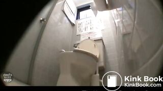 Japanese Western Toilet Bowlcam 47