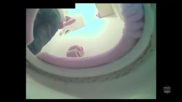 Japanese Western Toilet Bowlcam 41