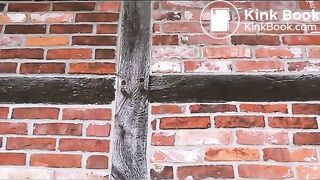 Mia poops outside a barn