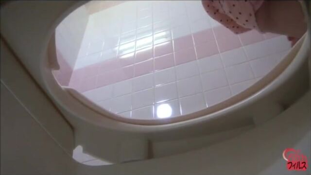 Japanese-Toilet-Bowlcam