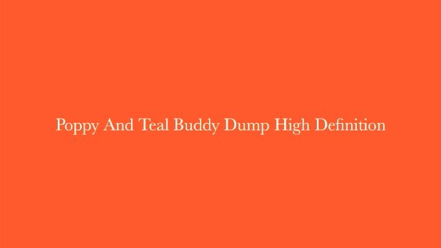 Poppy and Teal Buddy Dump
