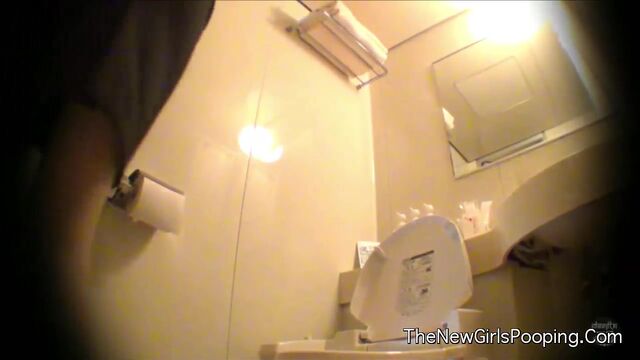 Japanese Western Toilet Bowlcam 16