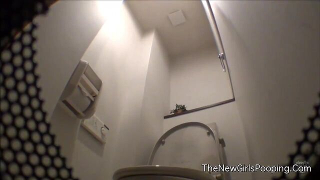 Japanese Western Toilet Bowlcam 29