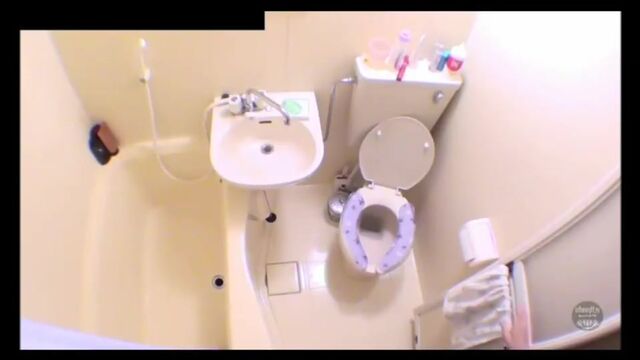 Japanese Western Toilet Bowlcam 33