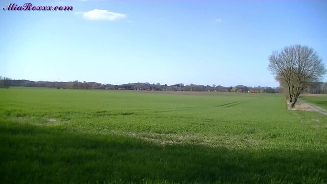 Mia pooping on the edge of a field