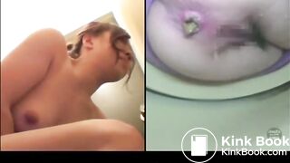 Japanese Western Toilet Bowlcam 40