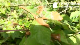 Urgent shit by a pond