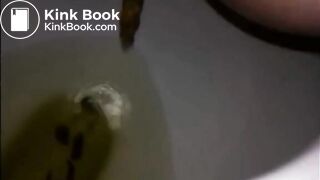 Hairy milf shitting in the toilet