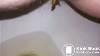 Hairy milf shitting in the toilet