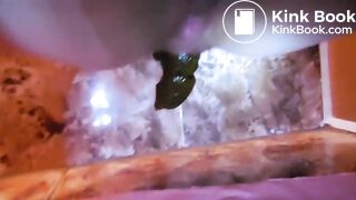 Big poop on the marble tiled floor