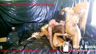 FireFly and Aria Total Scat Insanity Trailer for 5-6 parts