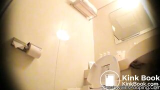 Japanese Western Toilet Bowlcam 17
