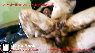 FireFly and Aria Total Scat Insanity Trailer for 7-8 parts