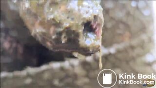 Manure Pit Anniversary