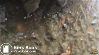 Manure Pit Anniversary