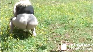 48fd3e3b-497d-4acb-bead-b86c67512f81