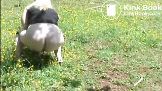 48fd3e3b-497d-4acb-bead-b86c67512f81