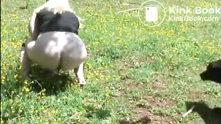 48fd3e3b-497d-4acb-bead-b86c67512f81