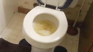 Gabbay's big toilet poop