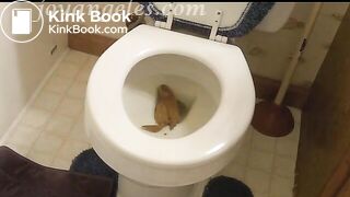 Gabbay's big toilet poop