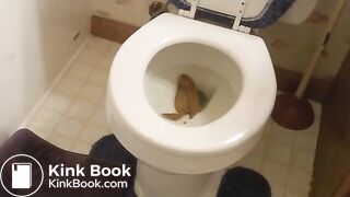Gabbay's big toilet poop